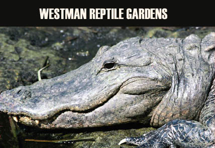 Westman Reptile Gardens